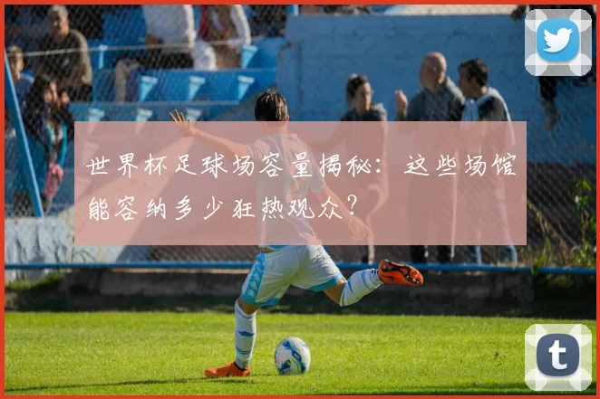 世界杯足球场容量揭秘：这些场馆能容纳多少狂热观众？